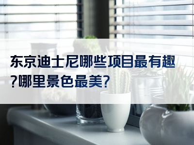 东京迪士尼哪些项目最有趣？哪里景色最美？