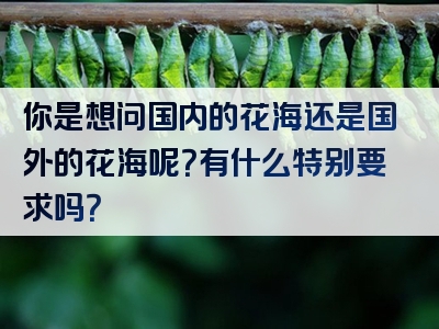 你是想问国内的花海还是国外的花海呢？有什么特别要求吗？