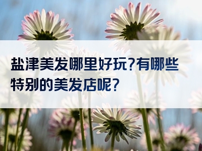 盐津美发哪里好玩？有哪些特别的美发店呢？