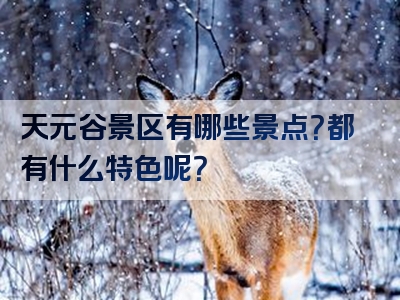 天元谷景区有哪些景点？都有什么特色呢？
