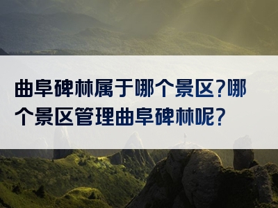 曲阜碑林属于哪个景区？哪个景区管理曲阜碑林呢？
