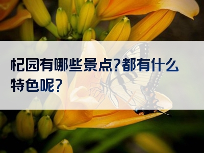 杞园有哪些景点？都有什么特色呢？