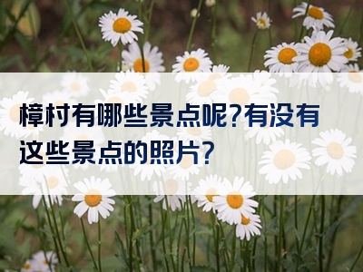 樟村有哪些景点呢？有没有这些景点的照片？