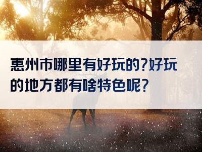 惠州市哪里有好玩的？好玩的地方都有啥特色呢？