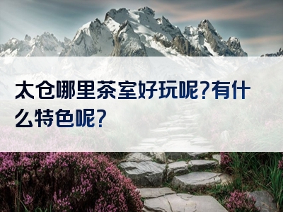 太仓哪里茶室好玩呢？有什么特色呢？