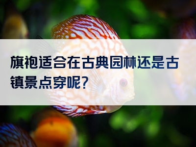 旗袍适合在古典园林还是古镇景点穿呢？