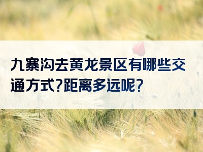 九寨沟去黄龙景区有哪些交通方式？距离多远呢？