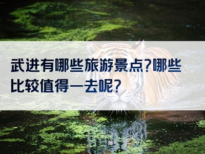 武进有哪些旅游景点？哪些比较值得一去呢？