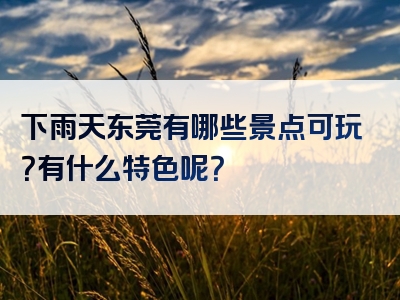 下雨天东莞有哪些景点可玩？有什么特色呢？
