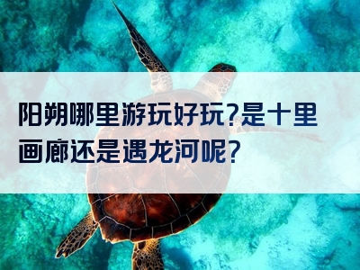 阳朔哪里游玩好玩？是十里画廊还是遇龙河呢？