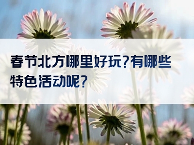 春节北方哪里好玩？有哪些特色活动呢？