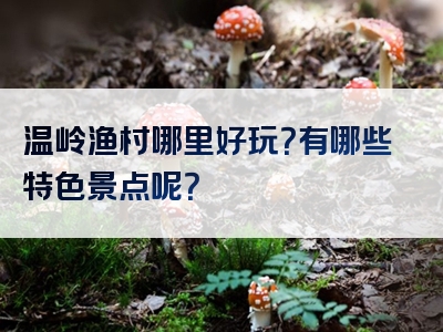 温岭渔村哪里好玩？有哪些特色景点呢？