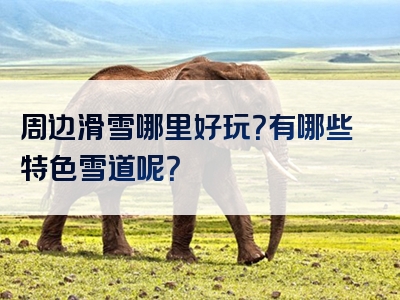 周边滑雪哪里好玩？有哪些特色雪道呢？