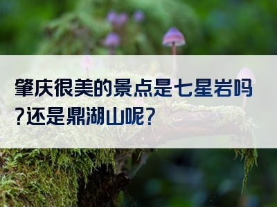 肇庆很美的景点是七星岩吗？还是鼎湖山呢？