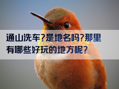 通山洗车？是地名吗？那里有哪些好玩的地方呢？