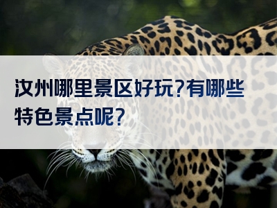 汝州哪里景区好玩？有哪些特色景点呢？