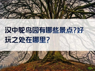 汉中鸵鸟园有哪些景点？好玩之处在哪里？