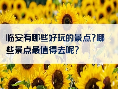临安有哪些好玩的景点？哪些景点最值得去呢？