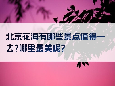 北京花海有哪些景点值得一去？哪里最美呢？
