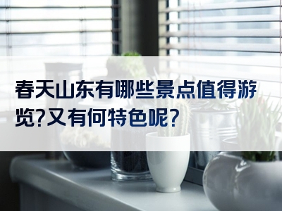 春天山东有哪些景点值得游览？又有何特色呢？