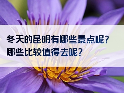 冬天的昆明有哪些景点呢？哪些比较值得去呢？