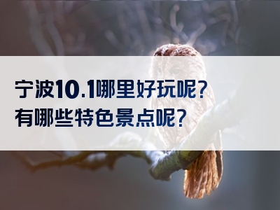 宁波10.1哪里好玩呢？有哪些特色景点呢？
