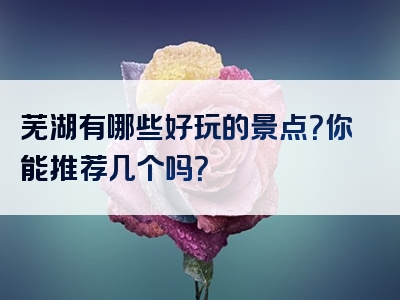 芜湖有哪些好玩的景点？你能推荐几个吗？