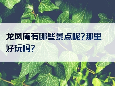 龙凤庵有哪些景点呢？那里好玩吗？