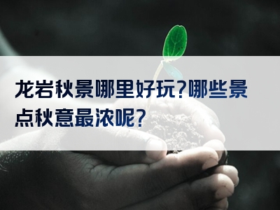 龙岩秋景哪里好玩？哪些景点秋意最浓呢？