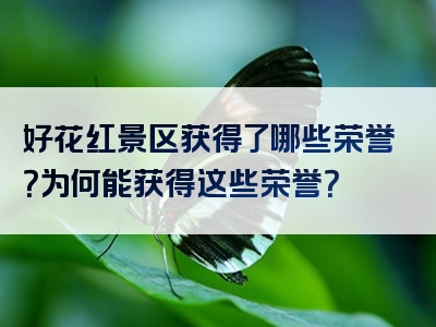 好花红景区获得了哪些荣誉？为何能获得这些荣誉？