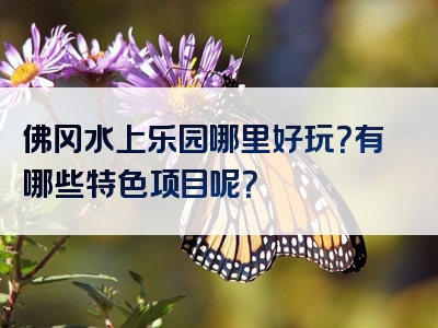 佛冈水上乐园哪里好玩？有哪些特色项目呢？
