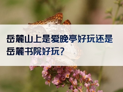 岳麓山上是爱晚亭好玩还是岳麓书院好玩？