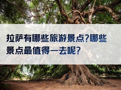 拉萨有哪些旅游景点？哪些景点最值得一去呢？