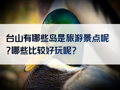 台山有哪些岛是旅游景点呢？哪些比较好玩呢？