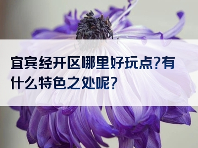 宜宾经开区哪里好玩点？有什么特色之处呢？