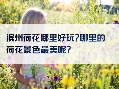 滨州荷花哪里好玩？哪里的荷花景色最美呢？