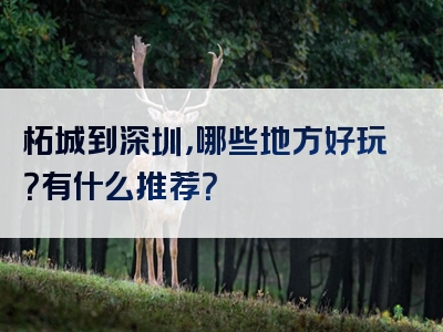 柘城到深圳，哪些地方好玩？有什么推荐？