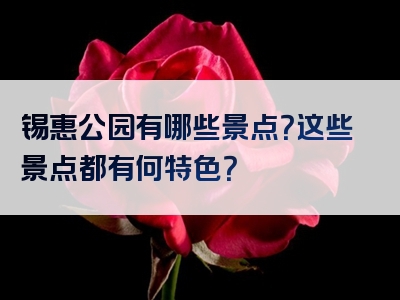 锡惠公园有哪些景点？这些景点都有何特色？