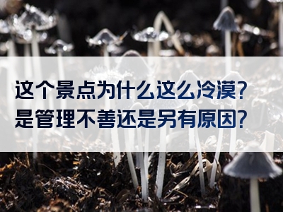 这个景点为什么这么冷漠？是管理不善还是另有原因？
