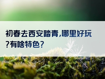 初春去西安踏青，哪里好玩？有啥特色？