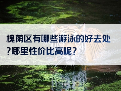槐荫区有哪些游泳的好去处？哪里性价比高呢？