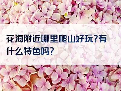花海附近哪里爬山好玩？有什么特色吗？