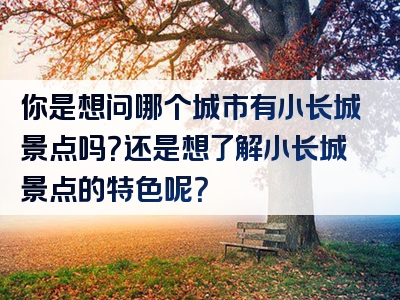 你是想问哪个城市有小长城景点吗？还是想了解小长城景点的特色呢？