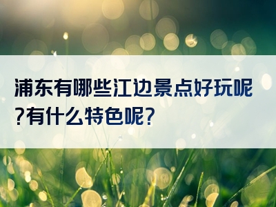浦东有哪些江边景点好玩呢？有什么特色呢？
