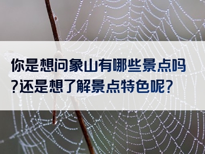 你是想问象山有哪些景点吗？还是想了解景点特色呢？