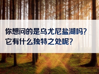 你想问的是乌尤尼盐湖吗？它有什么独特之处呢？