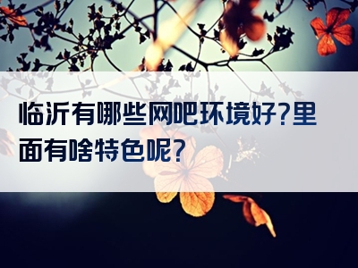 临沂有哪些网吧环境好？里面有啥特色呢？