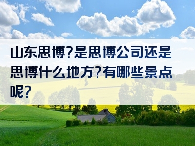 山东思博？是思博公司还是思博什么地方？有哪些景点呢？