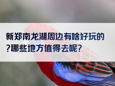 新郑南龙湖周边有啥好玩的？哪些地方值得去呢？