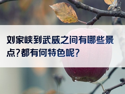 刘家峡到武威之间有哪些景点？都有何特色呢？